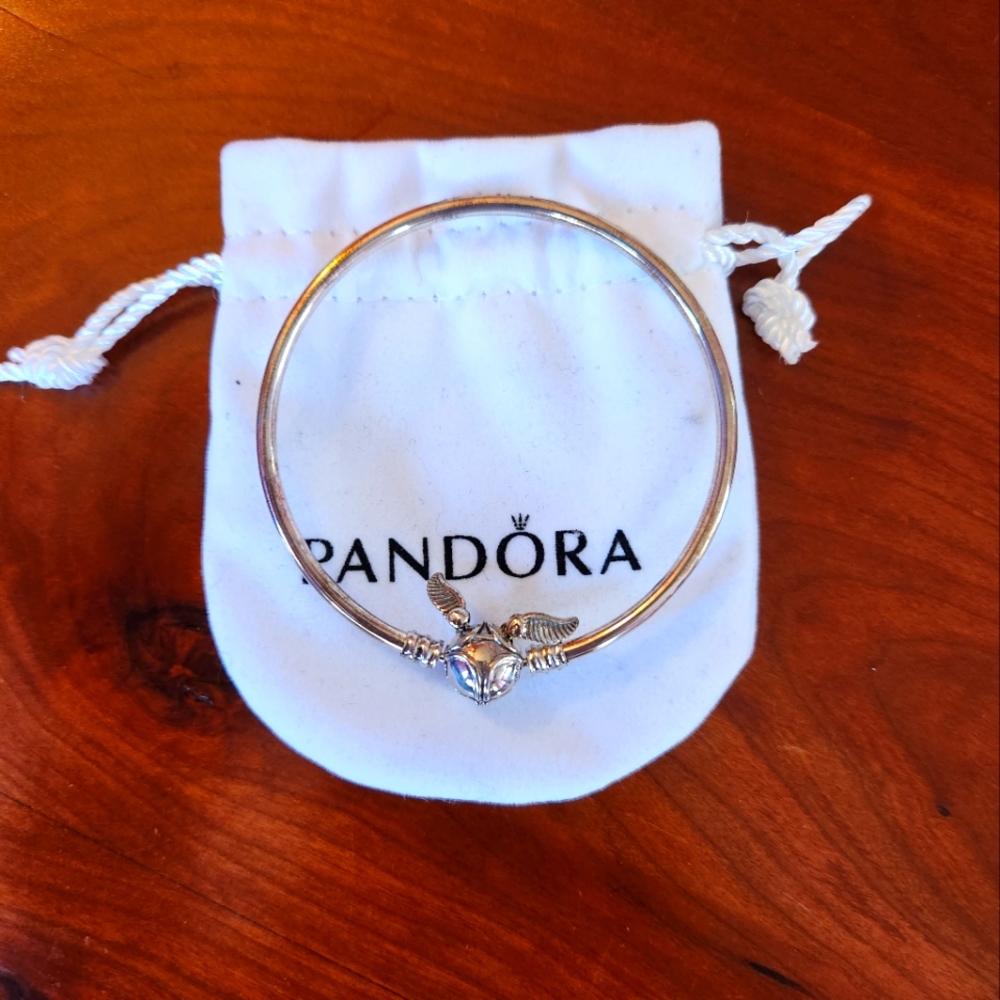 Harry Potter Pandora bangle bracelet